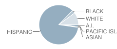 Caswell Elementary School Student Race Distribution