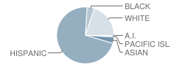 Walter White Elementary School Student Race Distribution