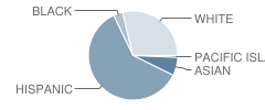 Badillo Elementary School Student Race Distribution