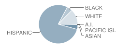 Dickson Elementary School Student Race Distribution