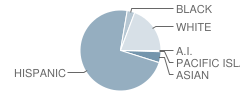 Magnolia Junior High School Student Race Distribution