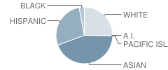 Hidden Trails Elementary School Student Race Distribution