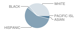 J. Calvin Lauderbach Elementary School Student Race Distribution