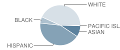 Parkview Elementary School Student Race Distribution