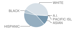 Valley Vista Elementary School Student Race Distribution