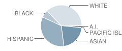 Joseph Casillas Elementary School Student Race Distribution