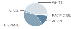 Chula Vista Hills Elementary School Student Race Distribution