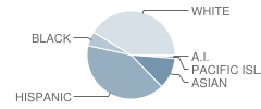 Eastlake Elementary School Student Race Distribution