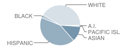 Clear View Charter Elementary School Student Race Distribution