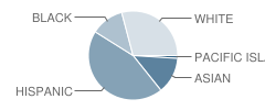 Mountain View Elementary School Student Race Distribution