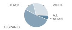 Oakmont Elementary School Student Race Distribution