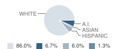 Clear Creek Elementary School Student Race Distribution