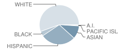 Fort Washington Elementary School Student Race Distribution