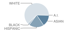 Copper Hills Elementary School Student Race Distribution