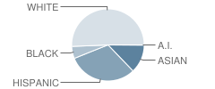 Mountain View Elementary School Student Race Distribution