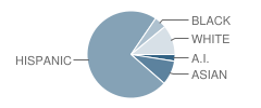 Pinedale Elementary School Student Race Distribution