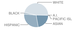 Freedom Elementary School Student Race Distribution