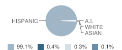 Valle Del Sol Elementary School Student Race Distribution