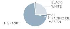 Nell Dawson Elementary School Student Race Distribution