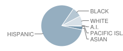 Bloomington High School Student Race Distribution