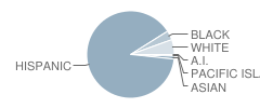 Bloomington Middle School Student Race Distribution