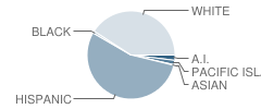 Colusa High School Student Race Distribution