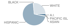 James M. Burchfield Primary School Student Race Distribution