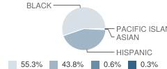Ralph Bunche Elementary School Student Race Distribution