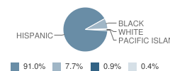 Kelly Elementary School Student Race Distribution