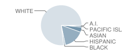 Aspen Elementary School Student Race Distribution