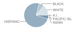 Auburndale Intermediate School Student Race Distribution