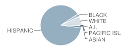 Coronita Elementary School Student Race Distribution