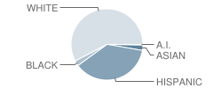 Highland Elementary School Student Race Distribution