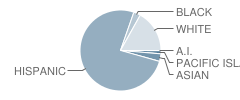 Vicentia Elementary School Student Race Distribution