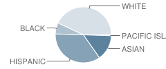 Foothill Elementary School Student Race Distribution