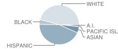Mountain Shadows Middle School Student Race Distribution