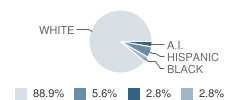 Phoenix High (Continuation) School Student Race Distribution