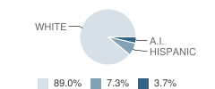 Cuddeback Elementary School Student Race Distribution