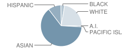 Dwight D. Eisenhower Elementary School Student Race Distribution