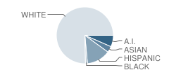 Cutten Elementary School Student Race Distribution