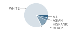 Ridgewood Elementary School Student Race Distribution