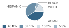 Clara J. King Elementary School Student Race Distribution