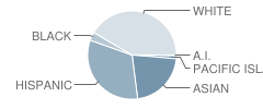 Frank Vessels Elementary School Student Race Distribution