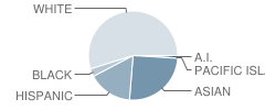 North Davis Elementary School Student Race Distribution