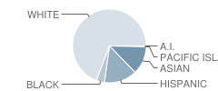 Patwin Elementary School Student Race Distribution