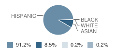 Albany Park Elementary School Student Race Distribution