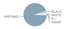 John F. Kennedy Elementary School Student Race Distribution