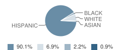 Amistad High (Continuation) School Student Race Distribution