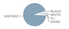 Lyndon B. Johnson Elementary School Student Race Distribution