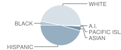 Dixon High School Student Race Distribution